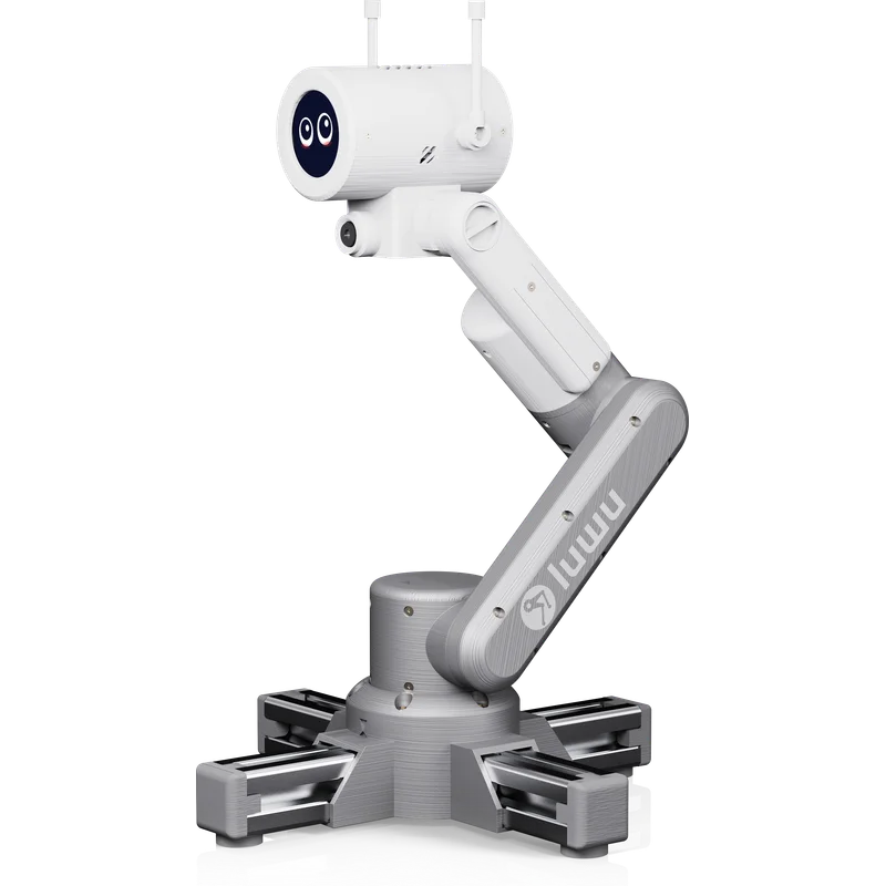 RIG-Arm-Kaka