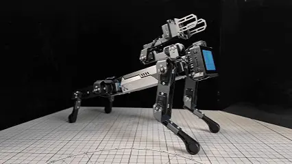 俯卧撑