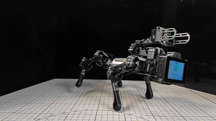 撒尿