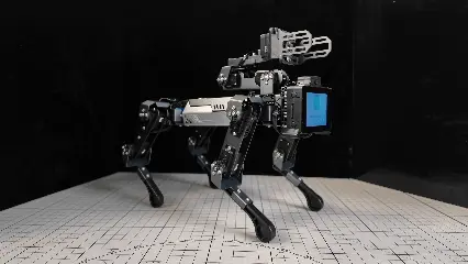 蹲起