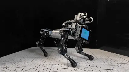 摇摆