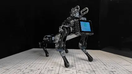 张望